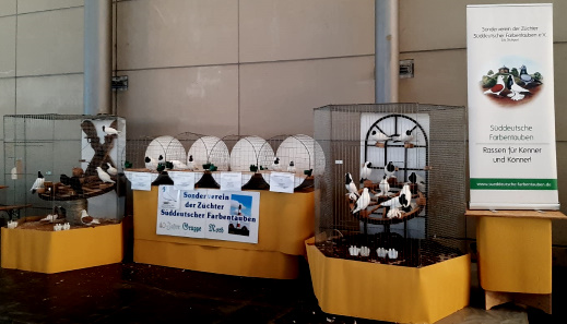 Präsentation Voliere