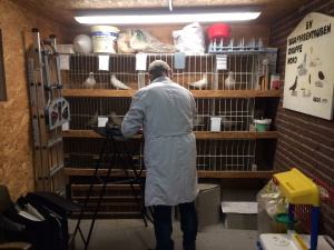 Sddeutsche Schnippen