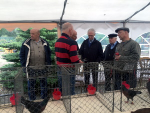 Zchter Tierbesprechung